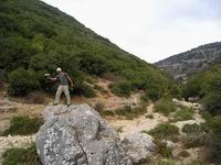 ���� ������ - ���� �����