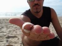 ������ ������