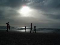 MTA ���� ������, ������ �� ����