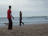 ���� ���� ����� �� ������