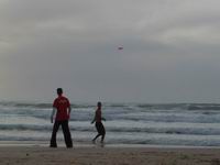 ������ �����