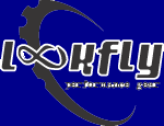 www.lookfly.com