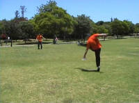 ������ FLOW