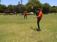 ������ FLOW