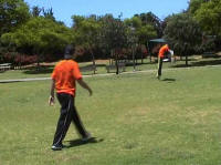 ������ FLOW