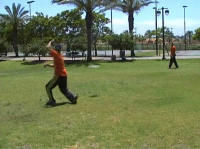 ������ FLOW